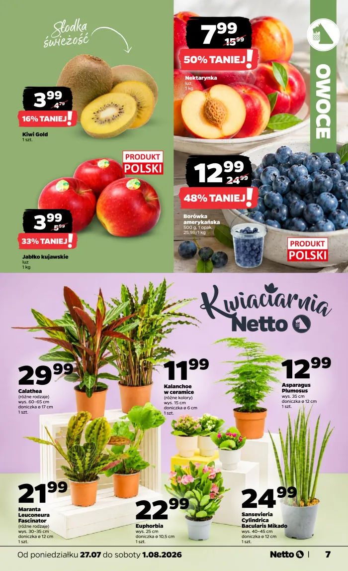 Netto