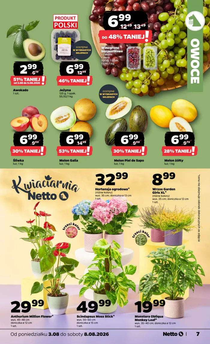 Netto
