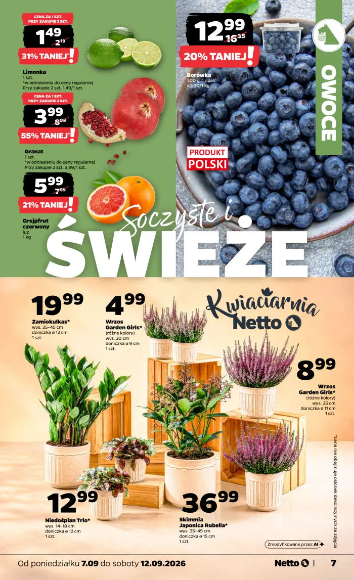 Netto