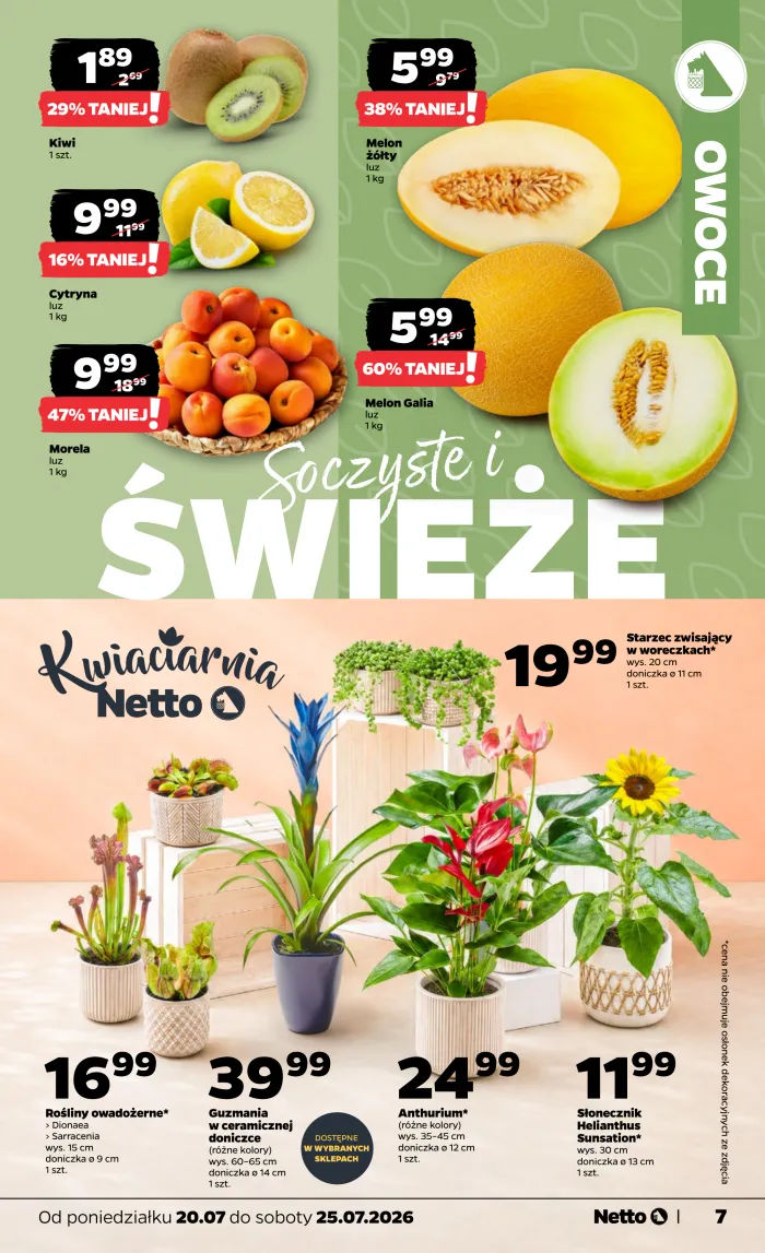 Netto
