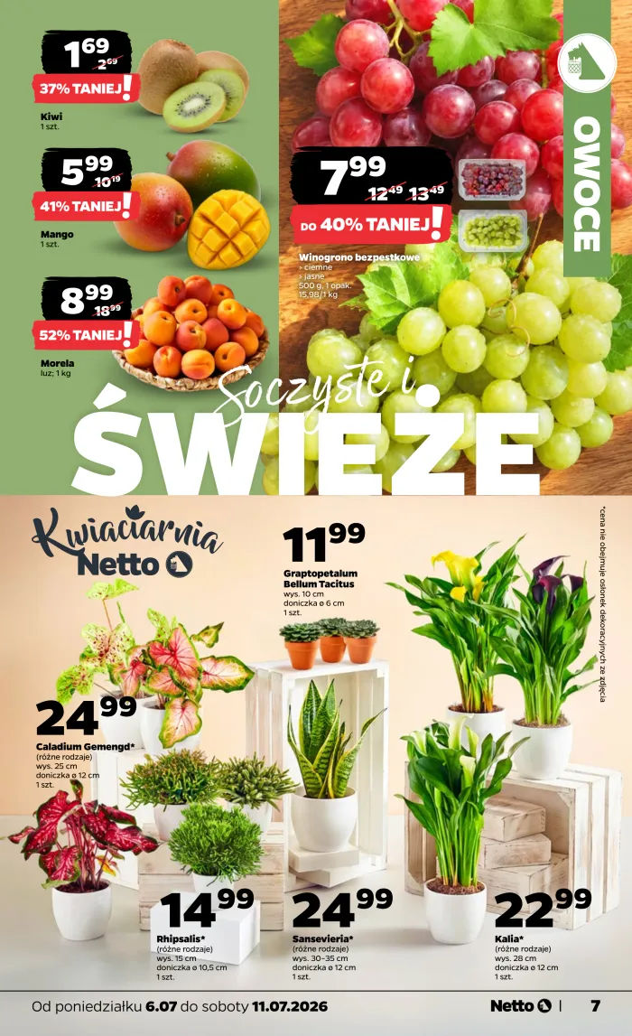 Netto