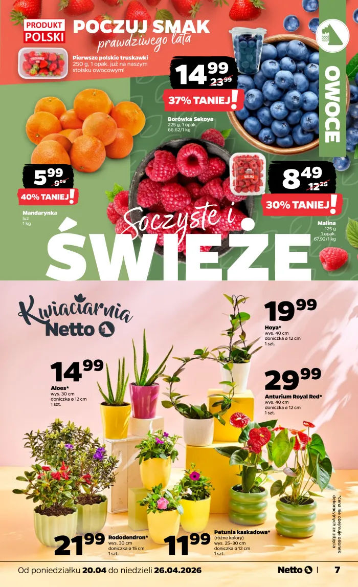 Netto