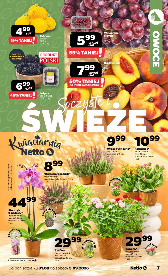 Netto