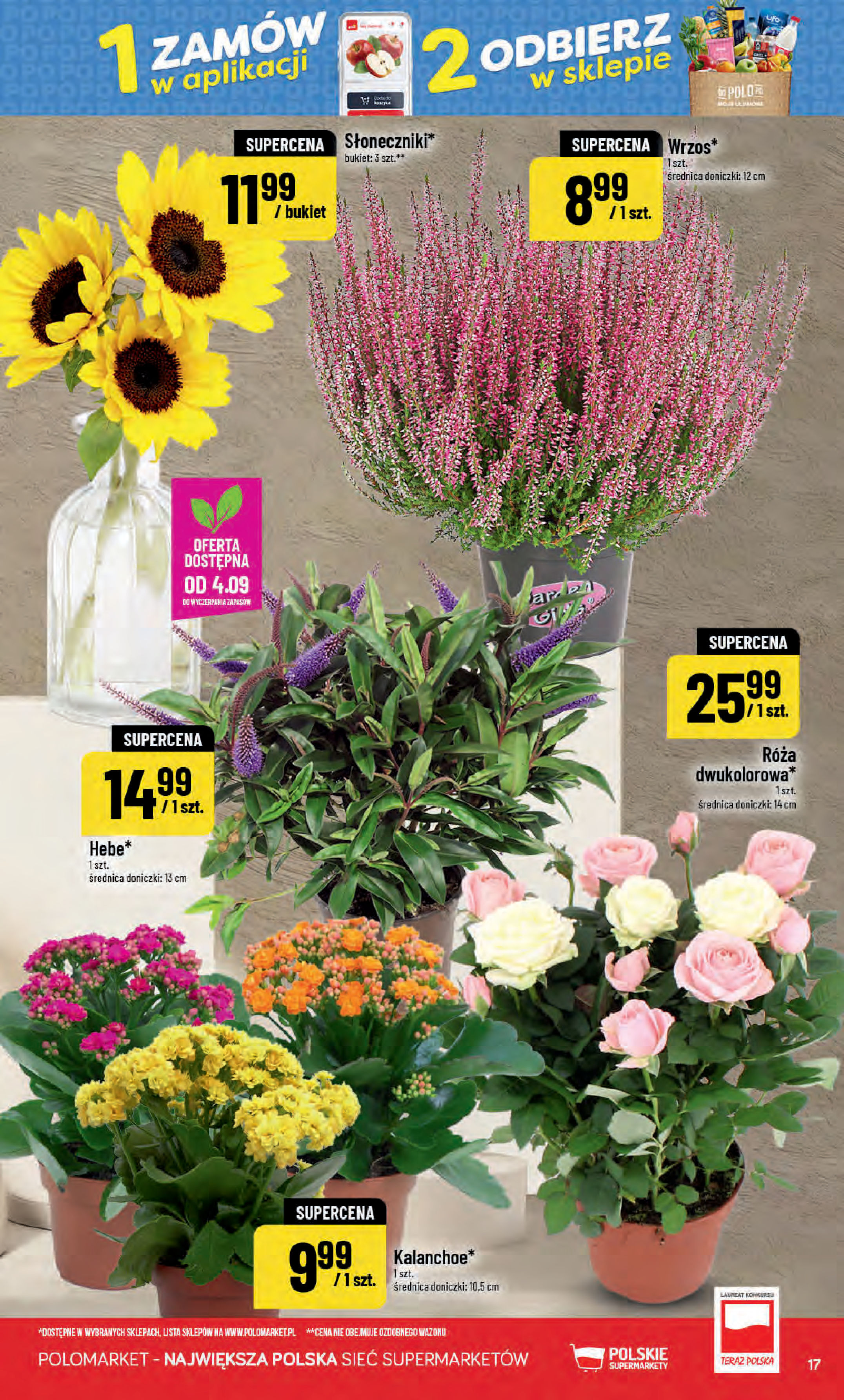 POLOmarket
