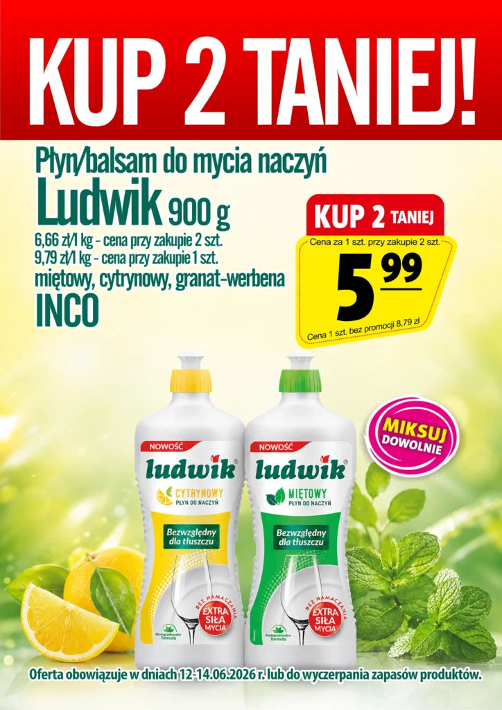 🍽️ 12-14.06.2026 R. PŁYN DO MYCIA NACZYŃ LUDWIK