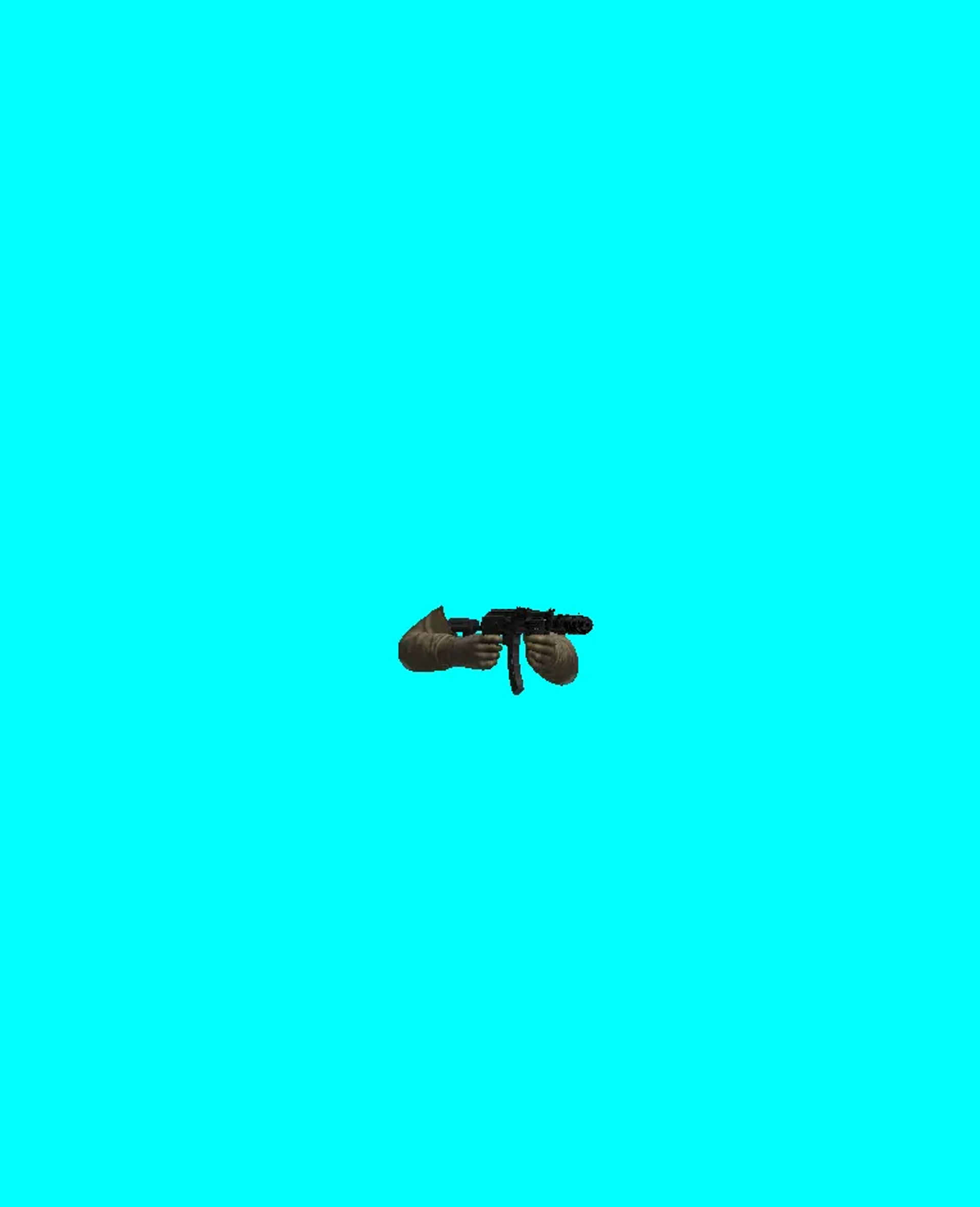 fps saiga animations