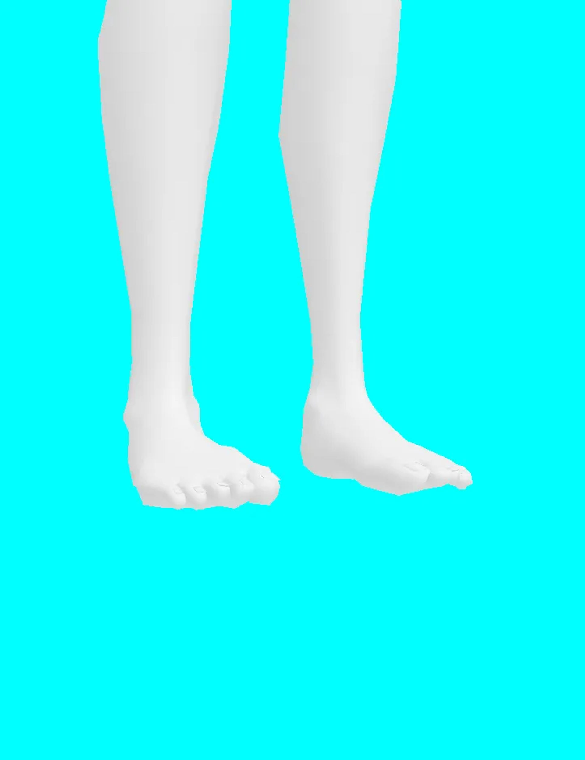 legs rigged