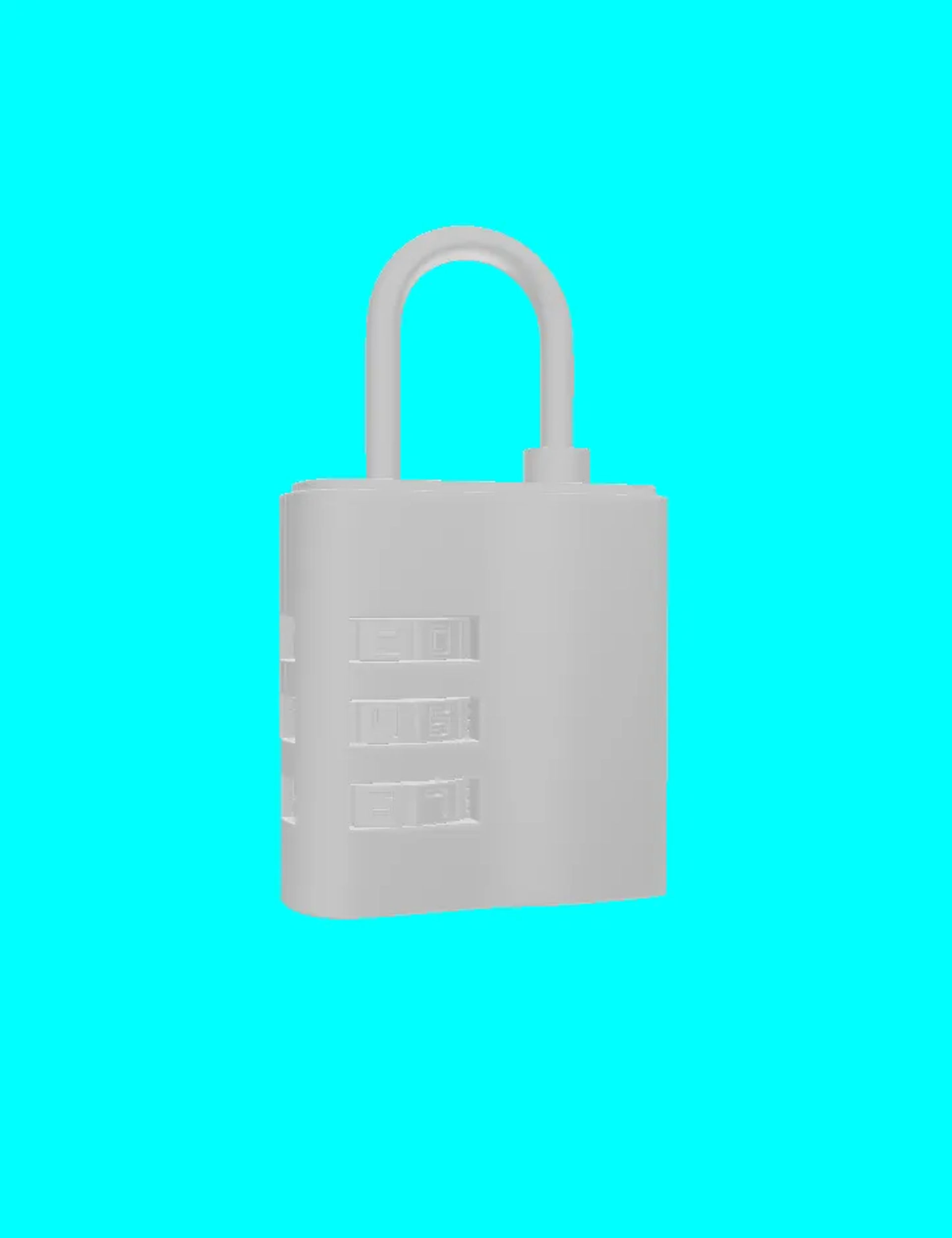 luggage lock