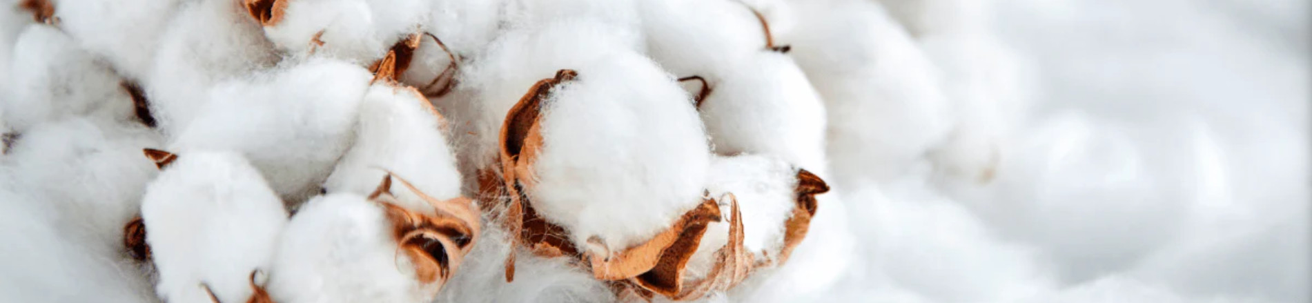 Matières responsables — coton bio et polyester recyclé Walomo