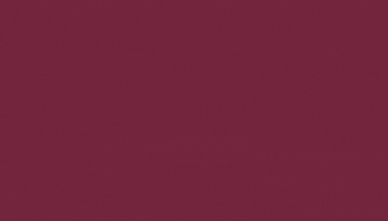 Nouveau logo Walomo — animation