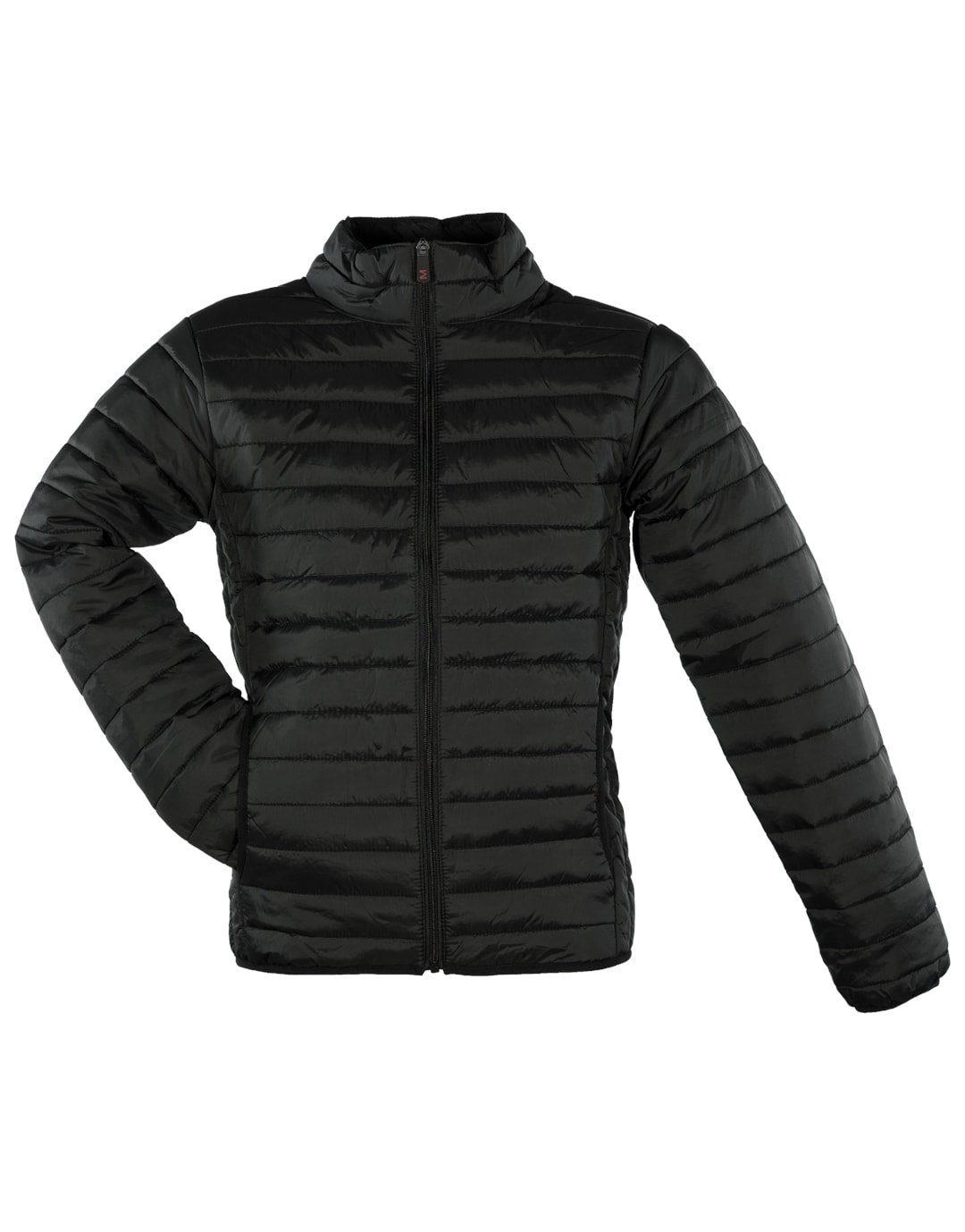 Doudoune Homme Nylon Mat personnalisé Paynelia