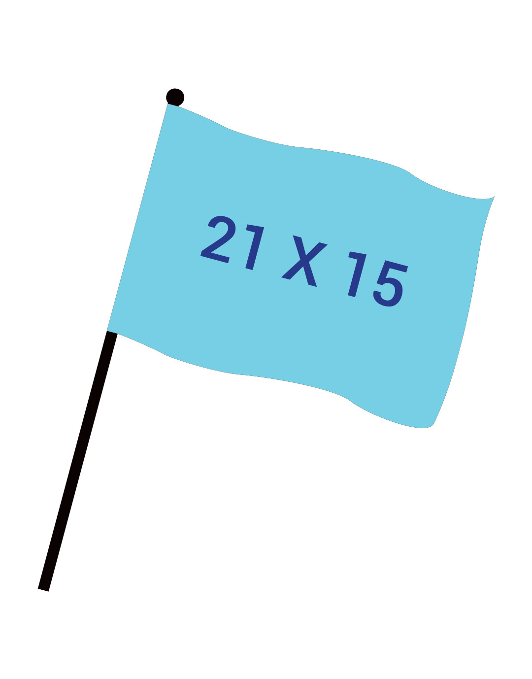 Drapeau numérique 21x15cm + Hampe 30 cm