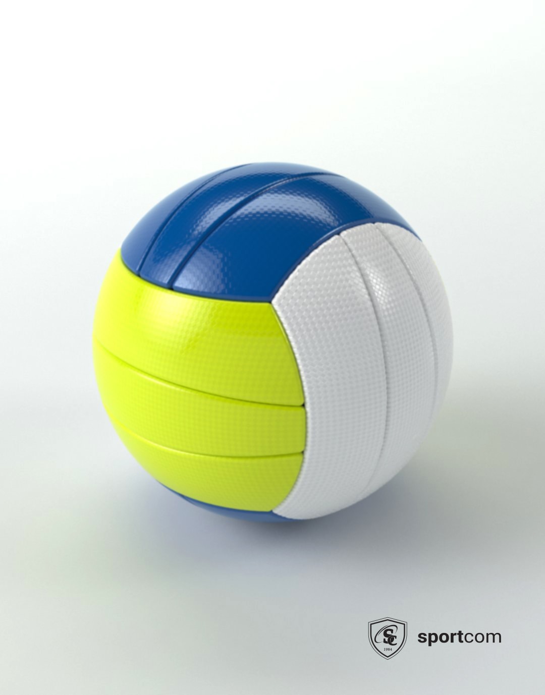 Volleyball BEACH personnalisé Paynelia