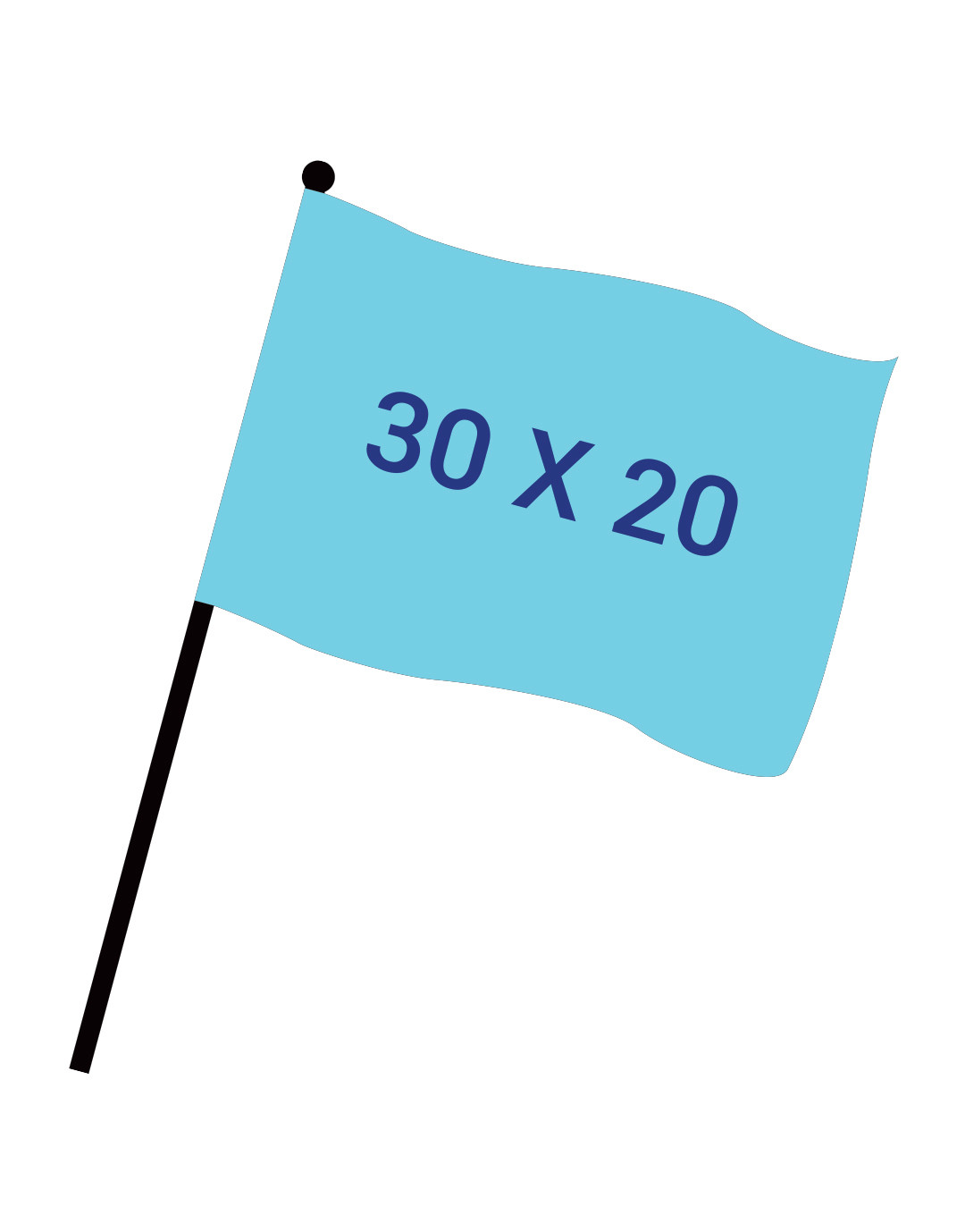 Drapeau numérique 30x20cm + Hampe 40 cm