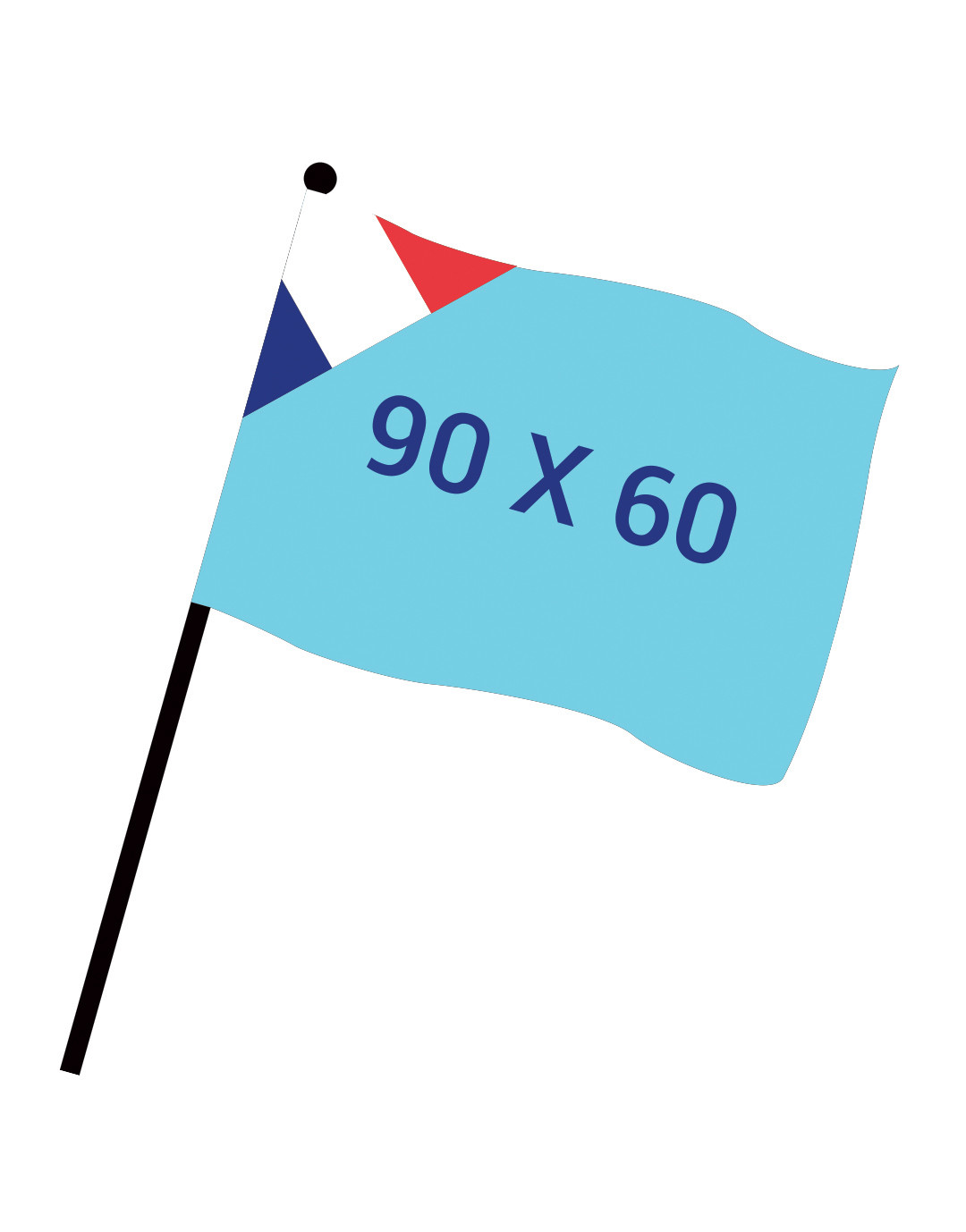 Drapeau numérique 90x60cm FAB FR