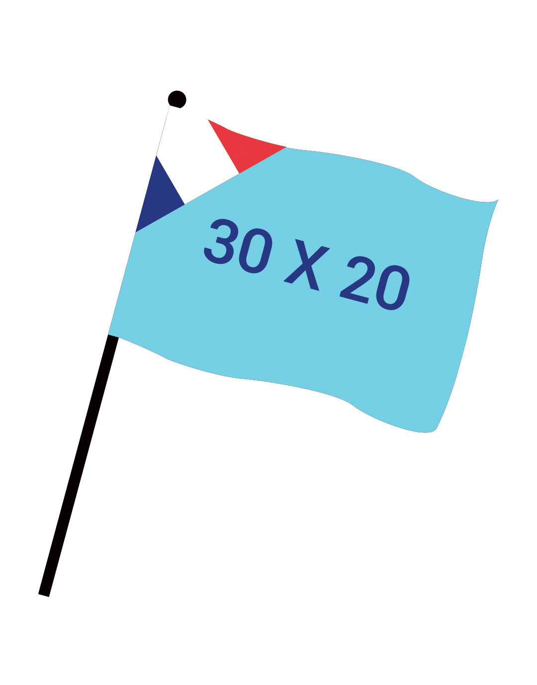 Drapeau numérique 30x20cm FAB FR