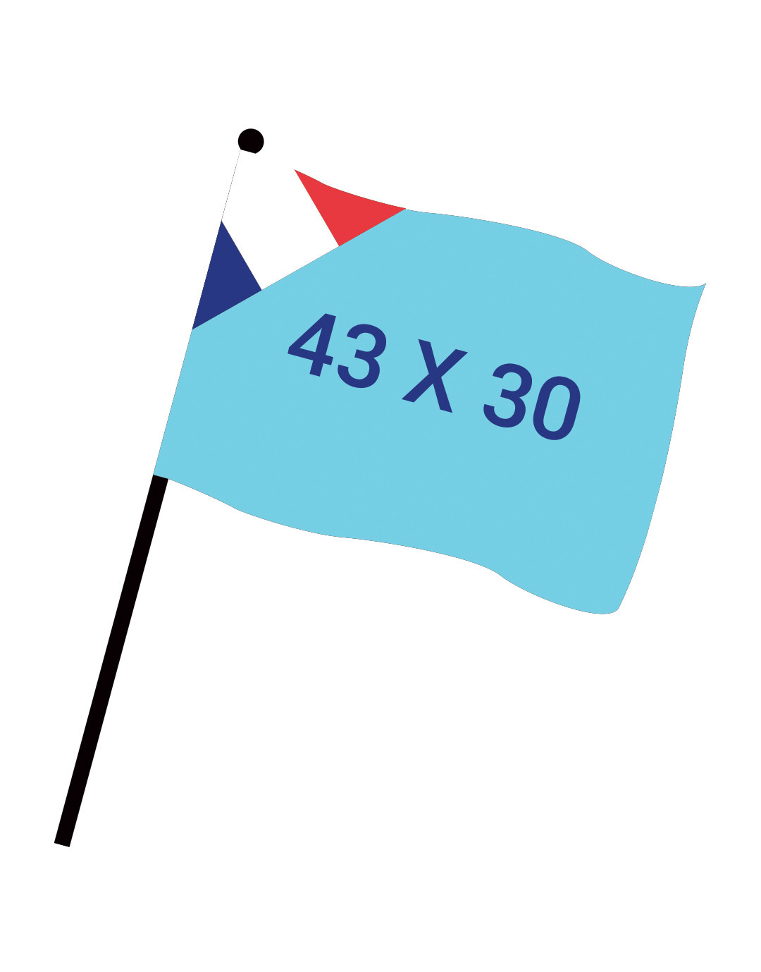 Drapeau numérique 43x30 cm FAB FR
