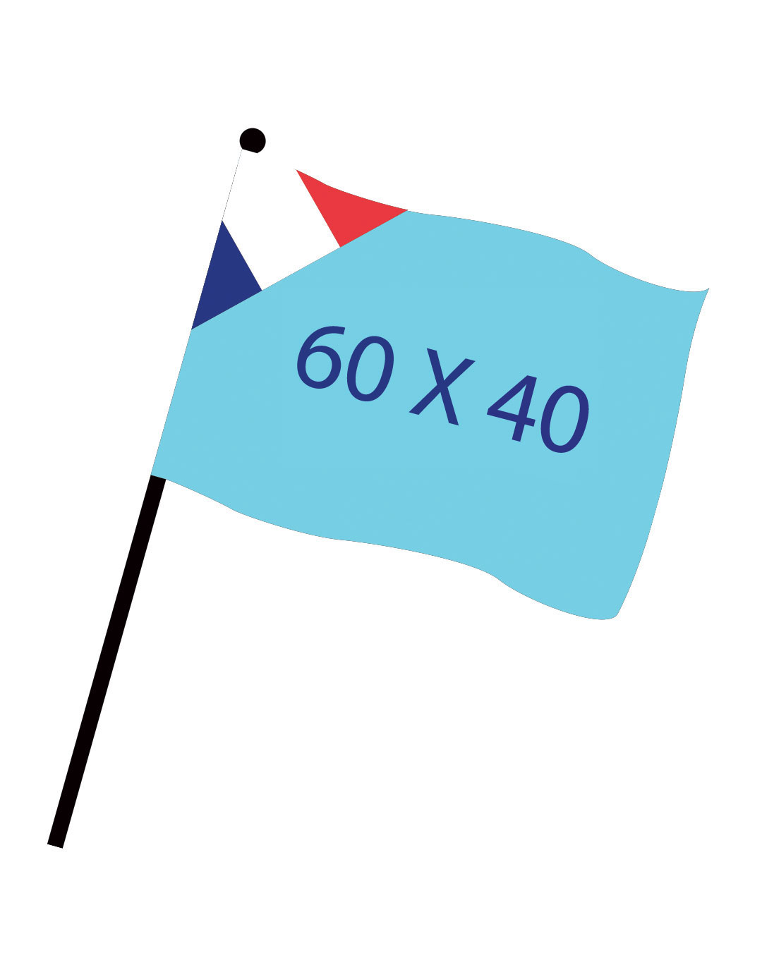 Drapeau numérique 60x40cm FAB FR